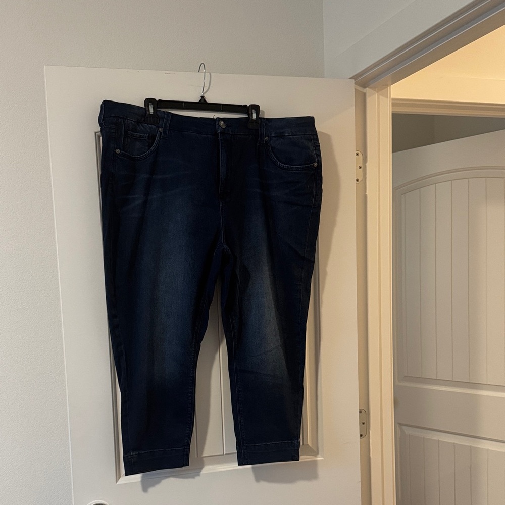 Melissa McCarthy seven 7 capri jeans